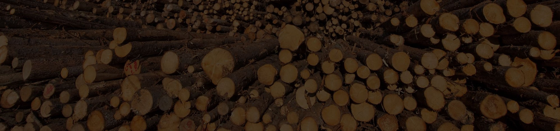 NORMES RELATIVES À LA FILIÈRE DU BOIS